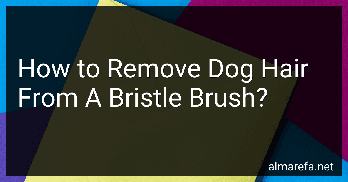 How to Remove Dog Hair From A Bristle Brush? image