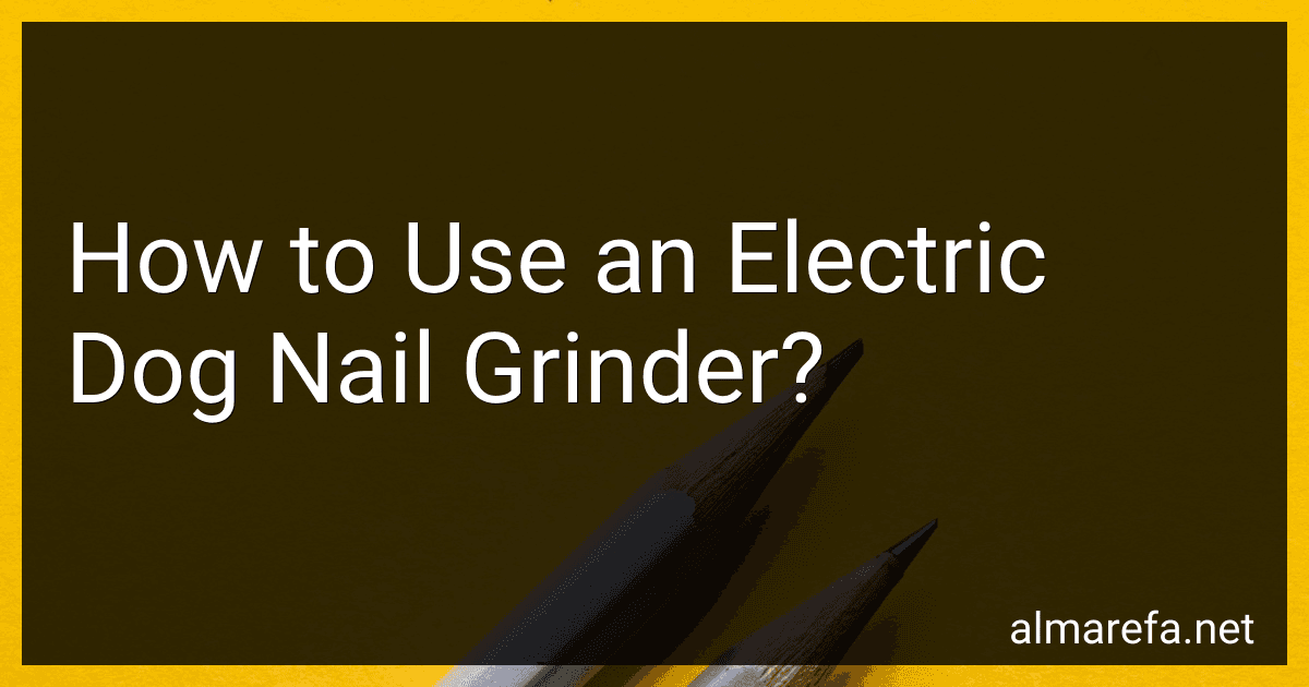 How to Use an Electric Dog Nail Grinder? image