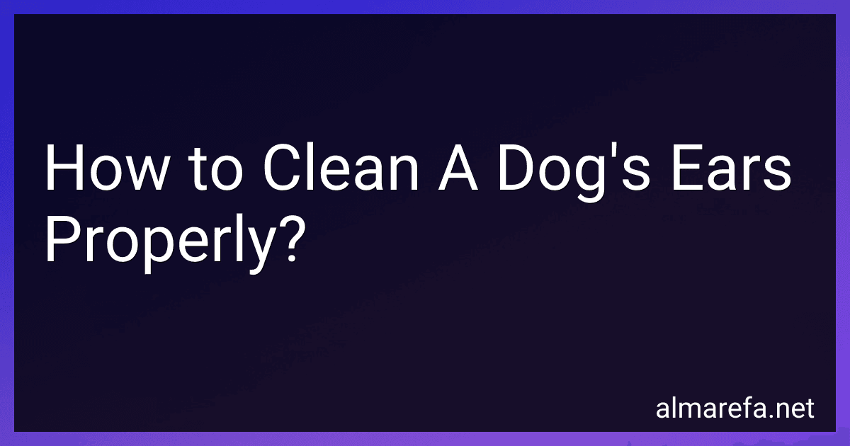 How to Clean A Dog's Ears Properly? image