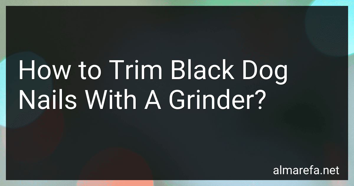 How to Trim Black Dog Nails With A Grinder? image