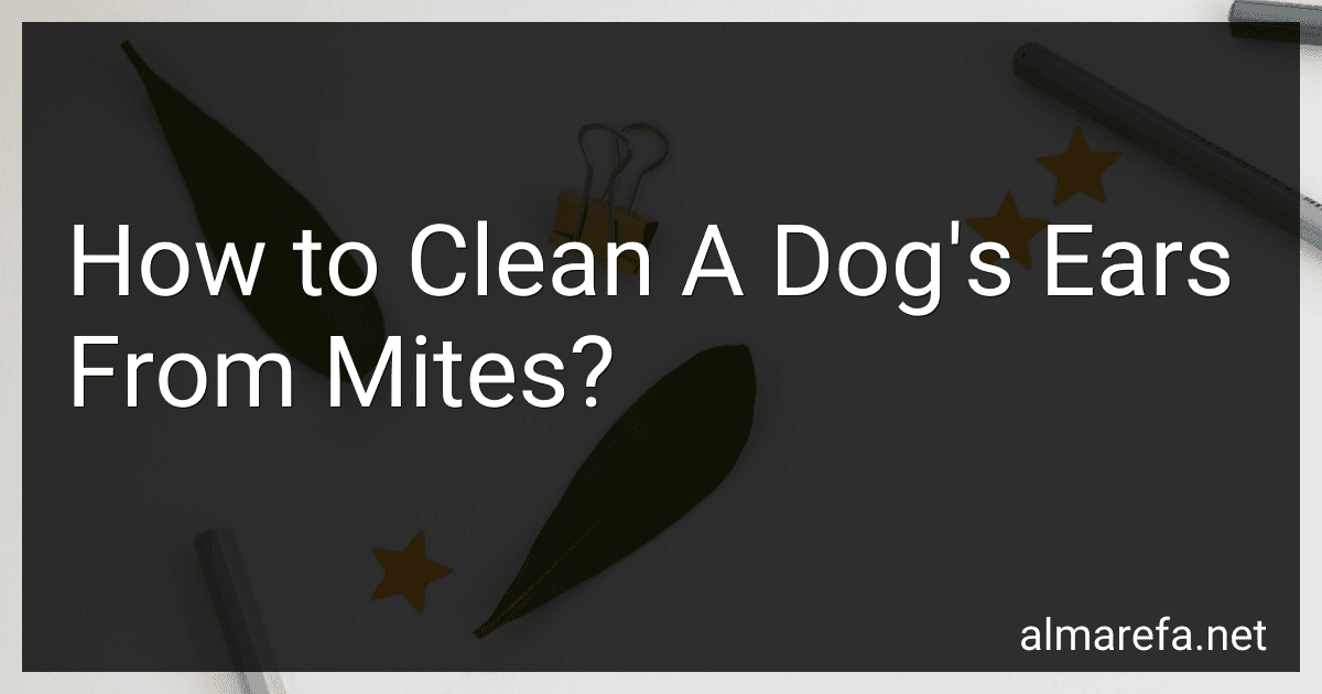 How to Clean A Dog's Ears From Mites? image