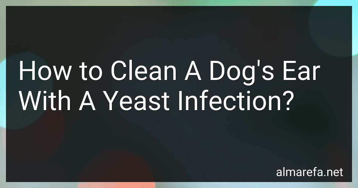 How to Clean A Dog's Ear With A Yeast Infection? image