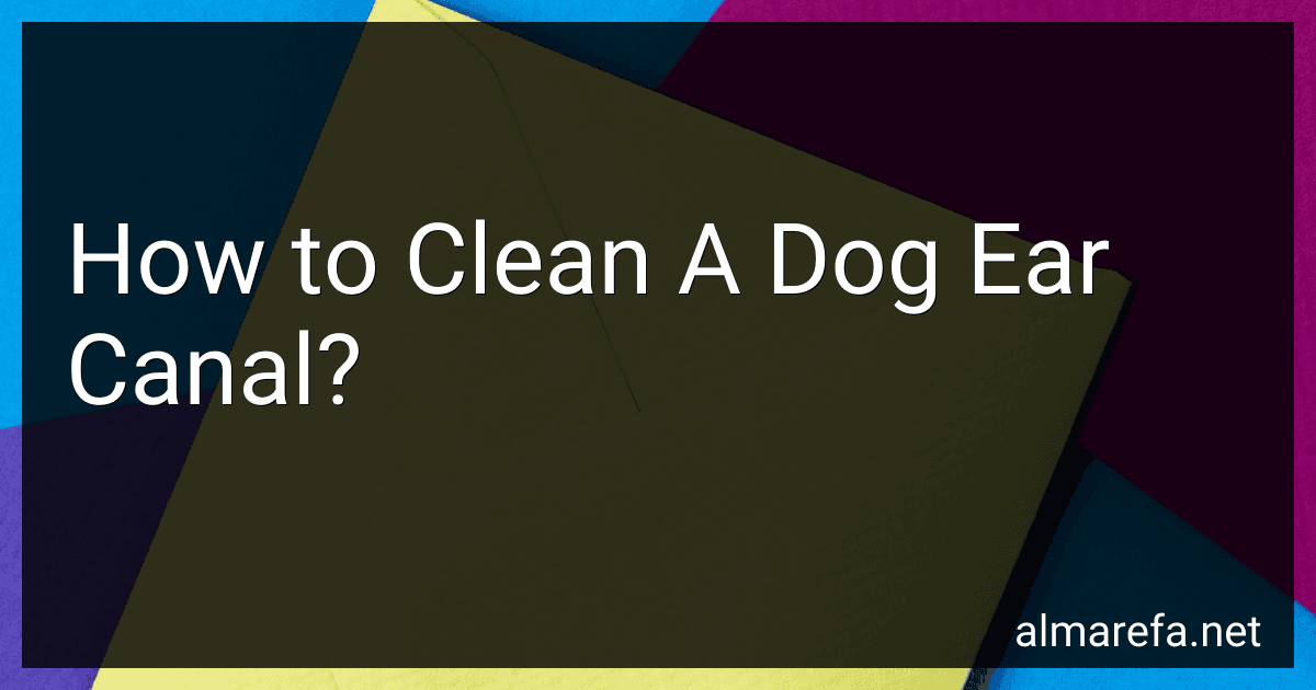 How to Clean A Dog Ear Canal? image