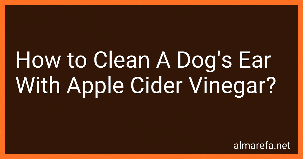 How to Clean A Dog's Ear With Apple Cider Vinegar? image