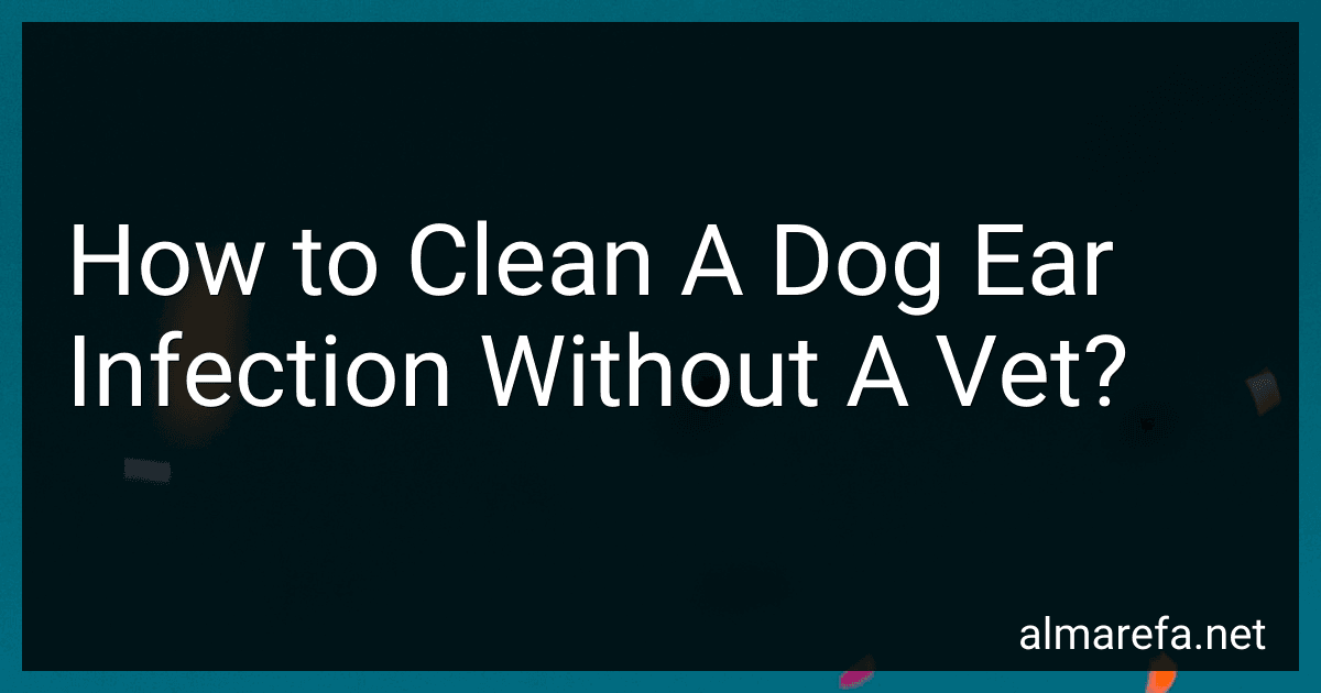 How to Clean A Dog Ear Infection Without A Vet? image