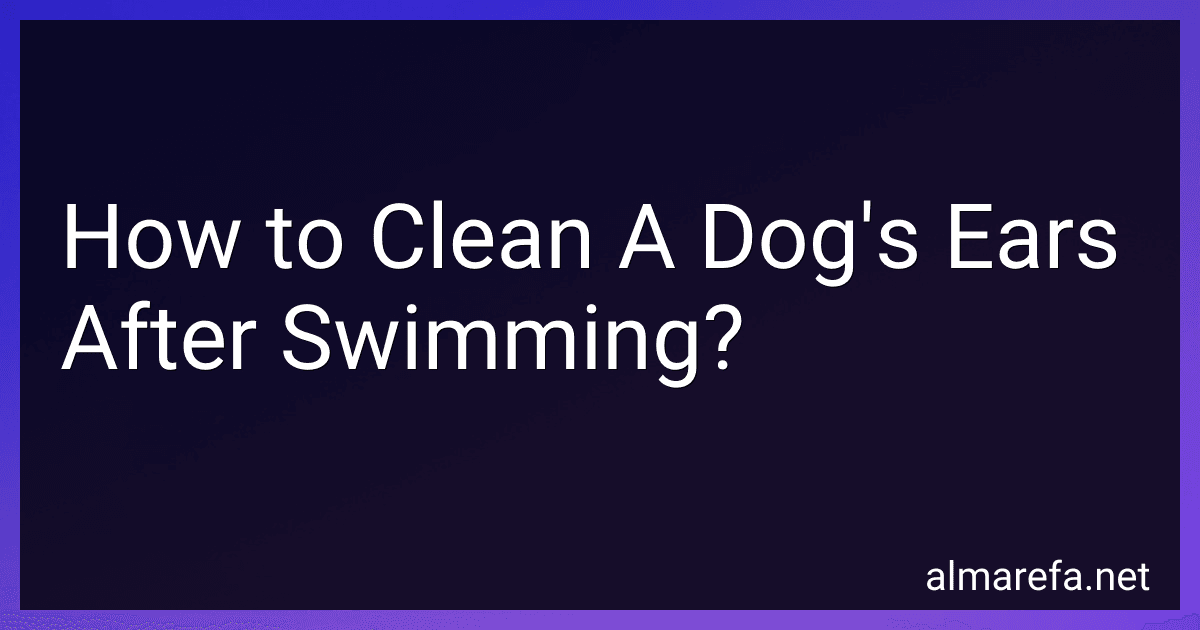 How to Clean A Dog's Ears After Swimming? image