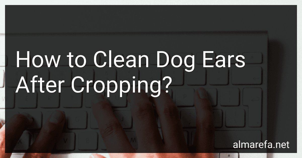 How to Clean Dog Ears After Cropping? image