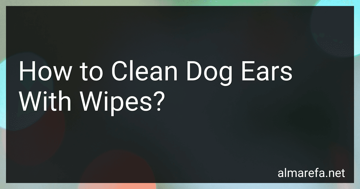How to Clean Dog Ears With Wipes? image