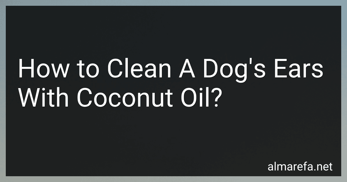 How to Clean A Dog's Ears With Coconut Oil? image
