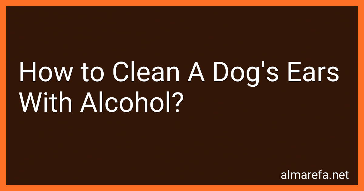 How to Clean A Dog's Ears With Alcohol? preview