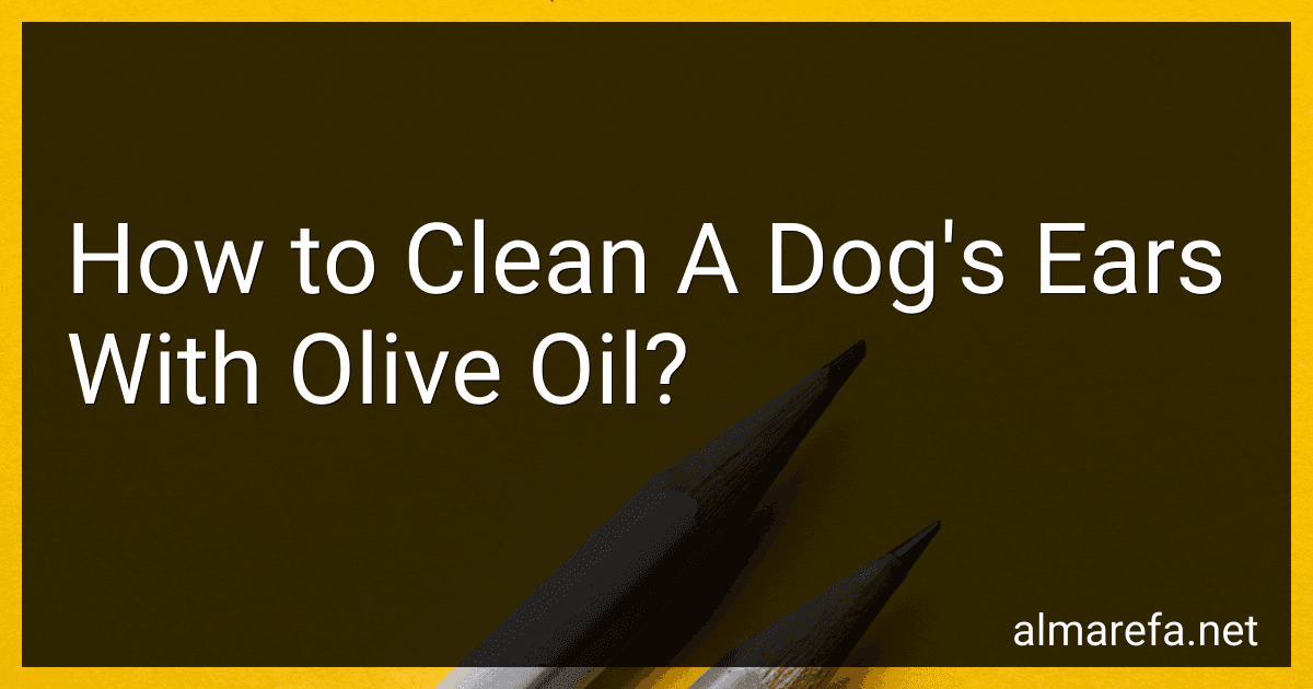 How to Clean A Dog's Ears With Olive Oil? image