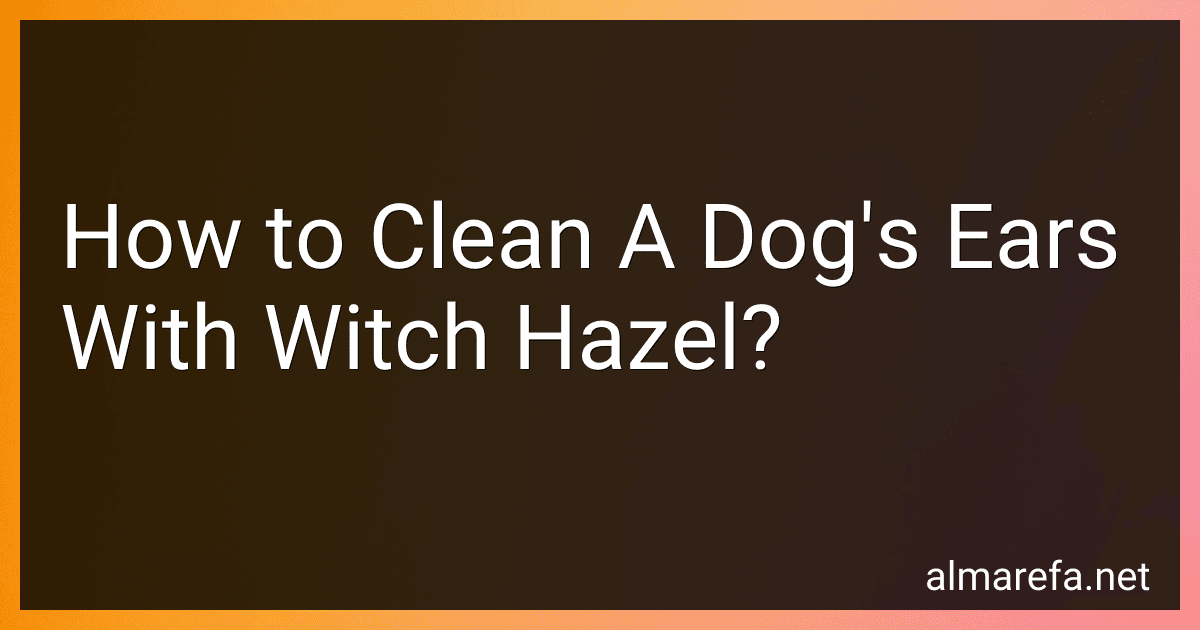 How to Clean A Dog's Ears With Witch Hazel? image