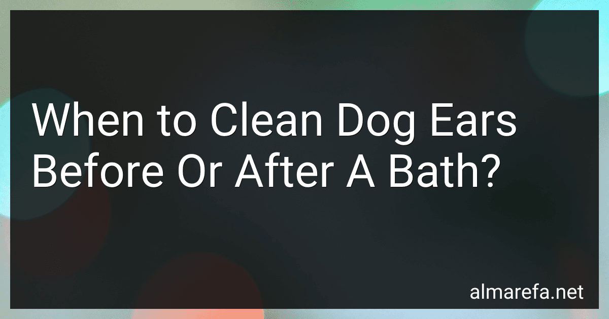 When to Clean Dog Ears Before Or After A Bath? image