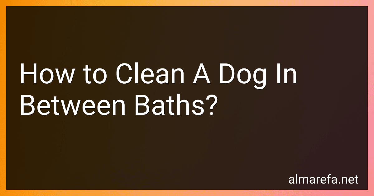 How to Clean A Dog In Between Baths? image