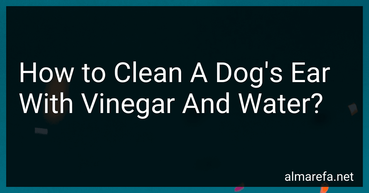 How to Clean A Dog's Ear With Vinegar And Water? image