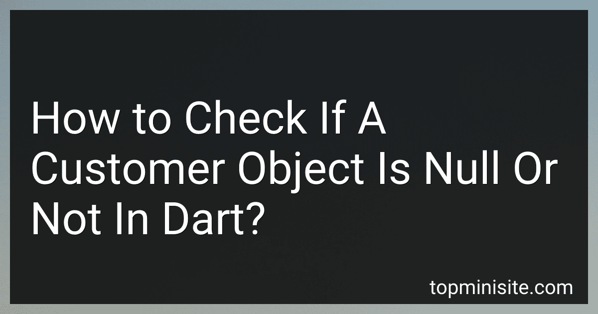 How to Check If A Customer Object Is Null Or Not In Dart? image