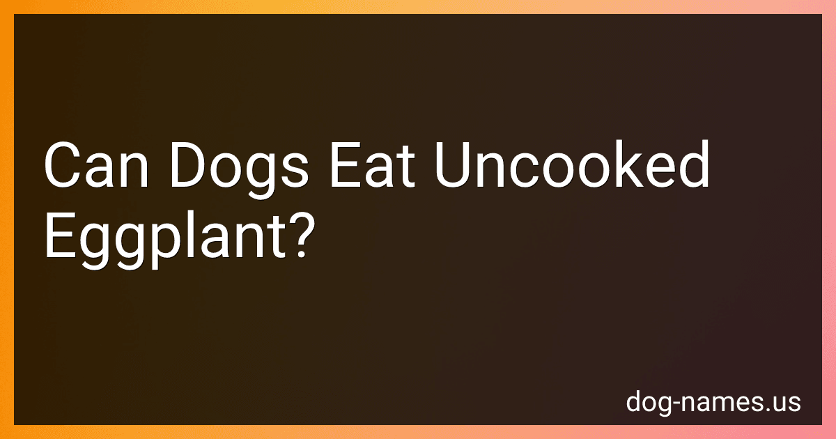 Can Dogs Eat Uncooked Eggplant? preview