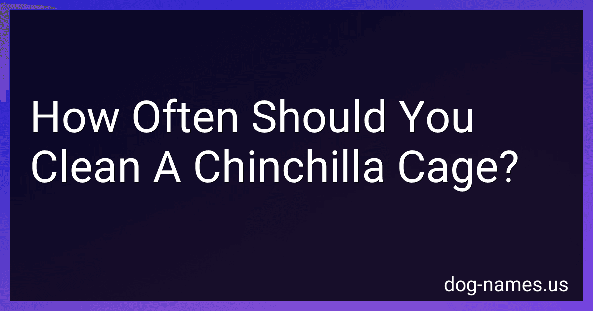 How Often Should You Clean A Chinchilla Cage? image