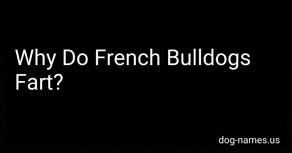 Why Do French Bulldogs Fart? image