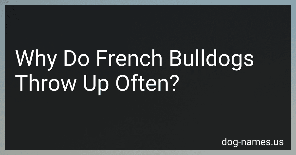 Why Do French Bulldogs Throw Up Often? image