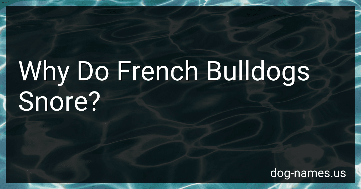 Why Do French Bulldogs Snore? preview