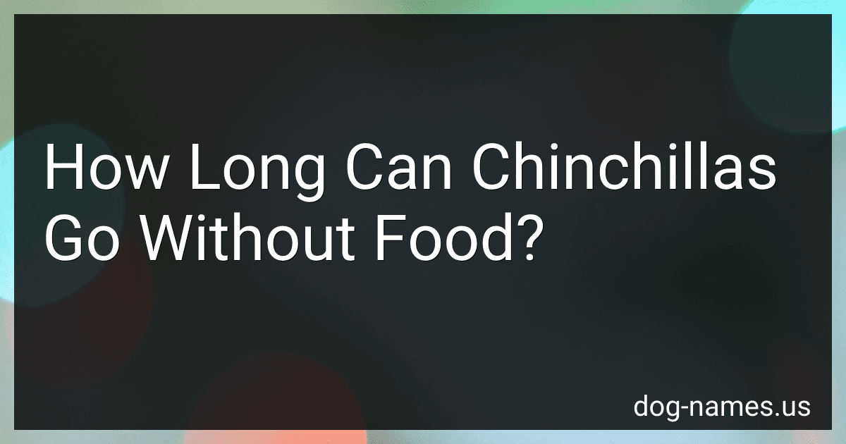 How Long Can Chinchillas Go Without Food? preview