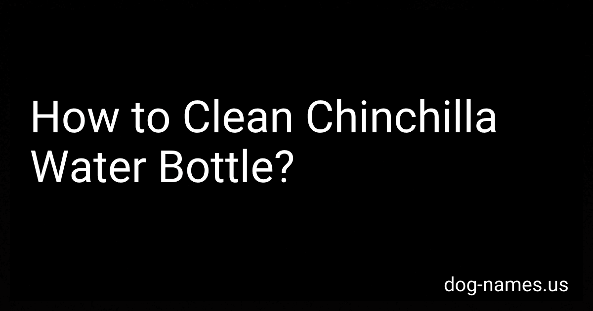 How to Clean Chinchilla Water Bottle? preview