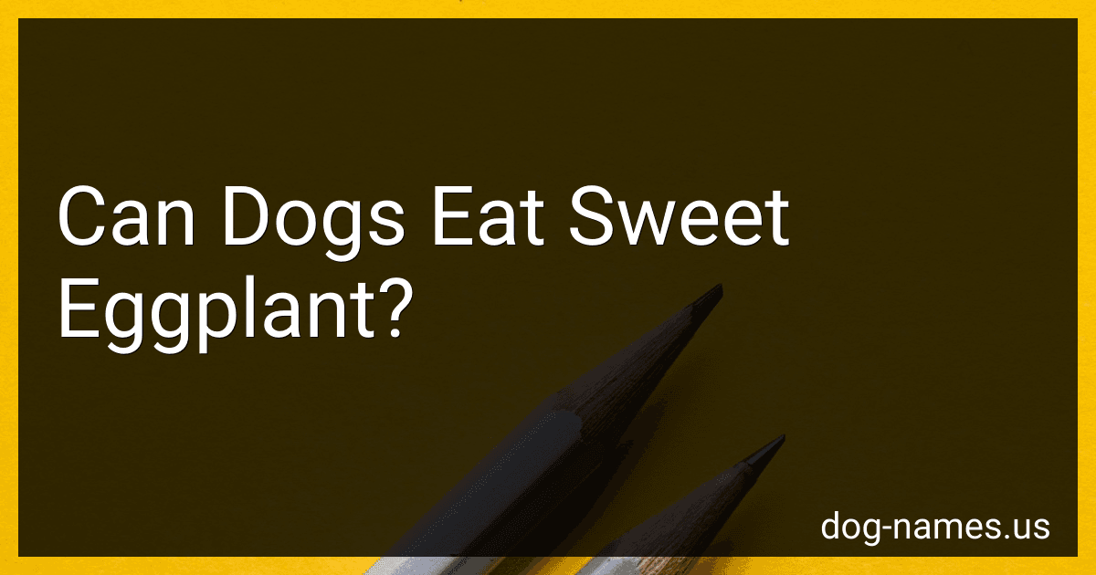 Can Dogs Eat Sweet Eggplant? preview