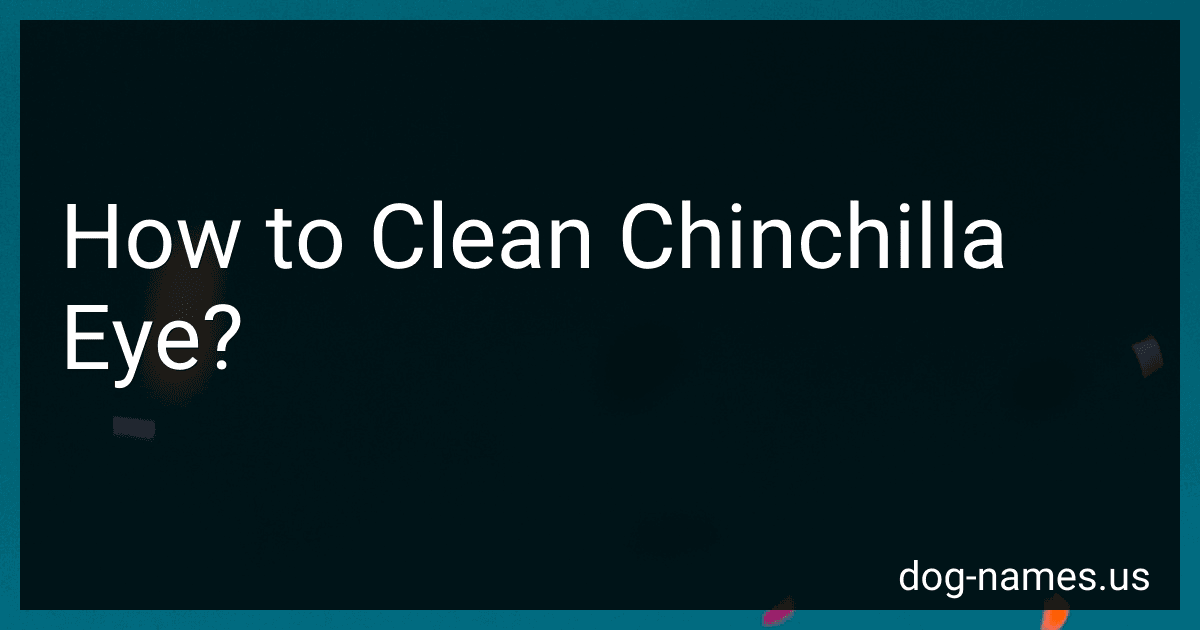 How to Clean Chinchilla Eye? image