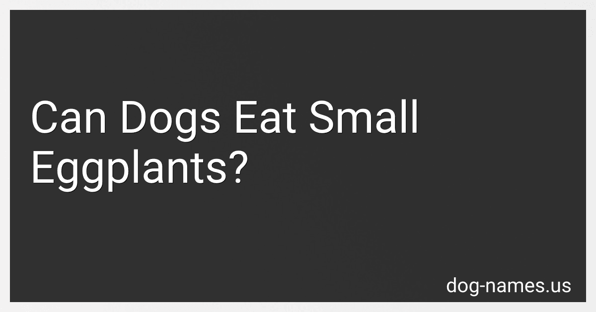 Can Dogs Eat Small Eggplants? image