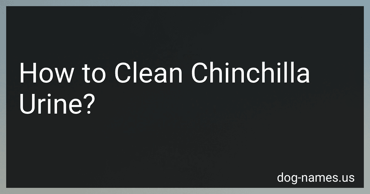 How to Clean Chinchilla Urine? preview