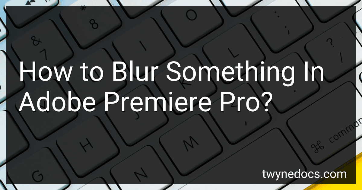 How to Blur Something In Adobe Premiere Pro? image