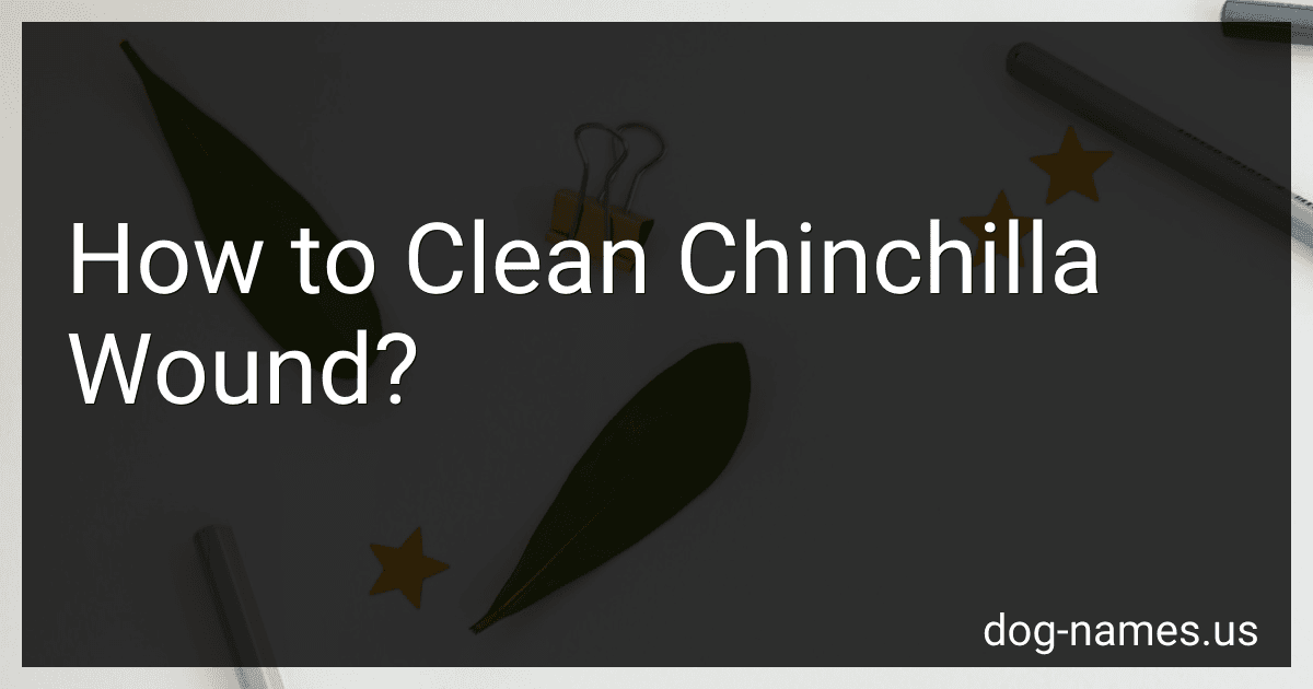 How to Clean Chinchilla Wound? image