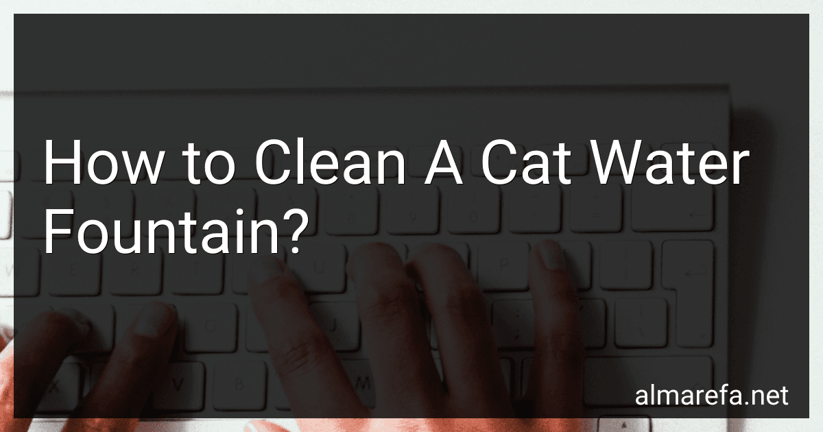 How to Clean A Cat Water Fountain? image