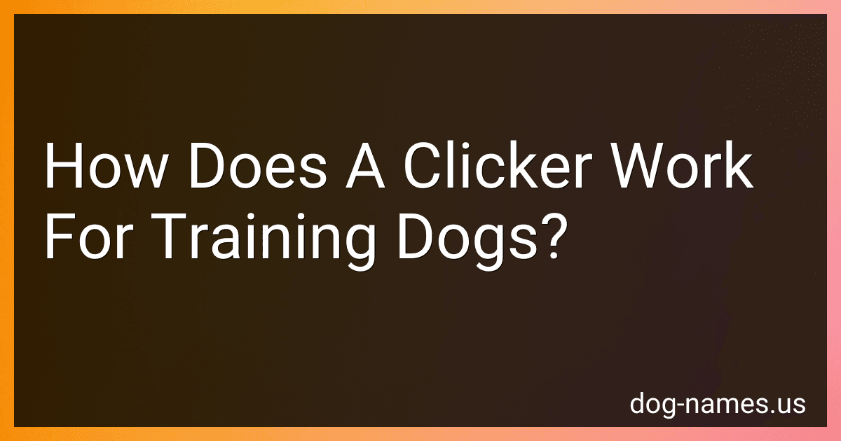 How Does A Clicker Work For Training Dogs? preview