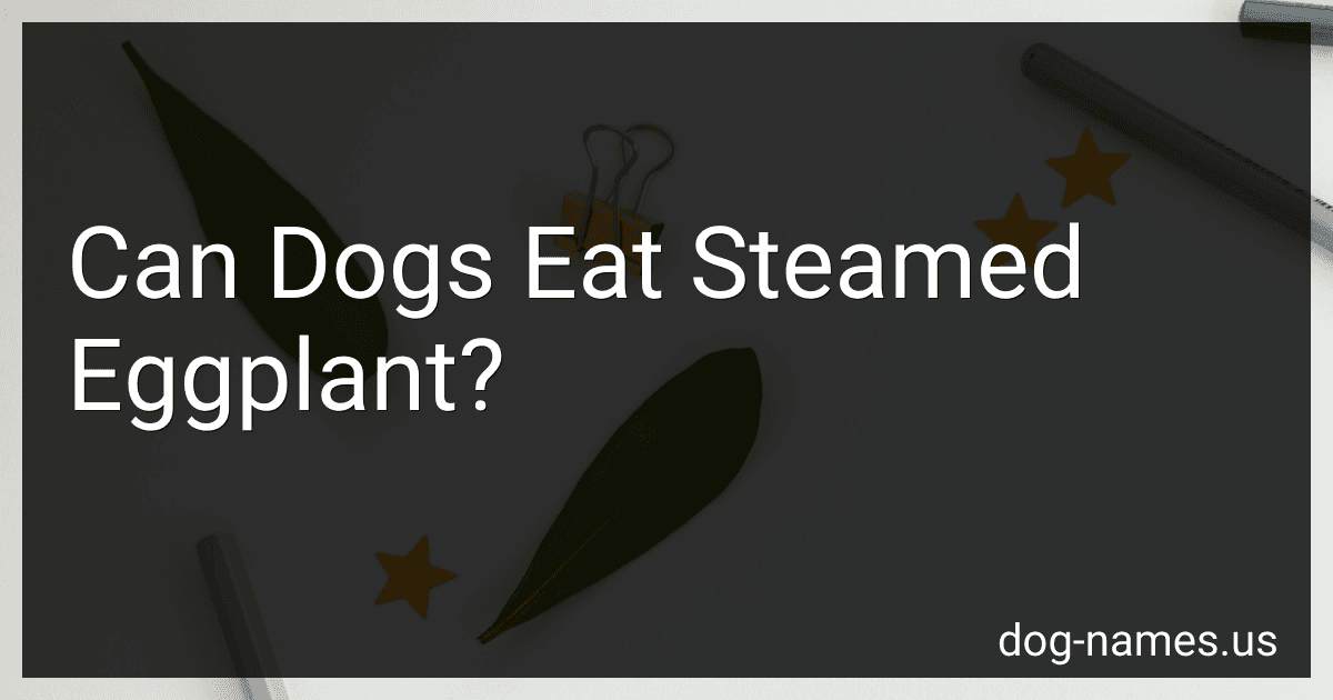 Can Dogs Eat Steamed Eggplant? preview
