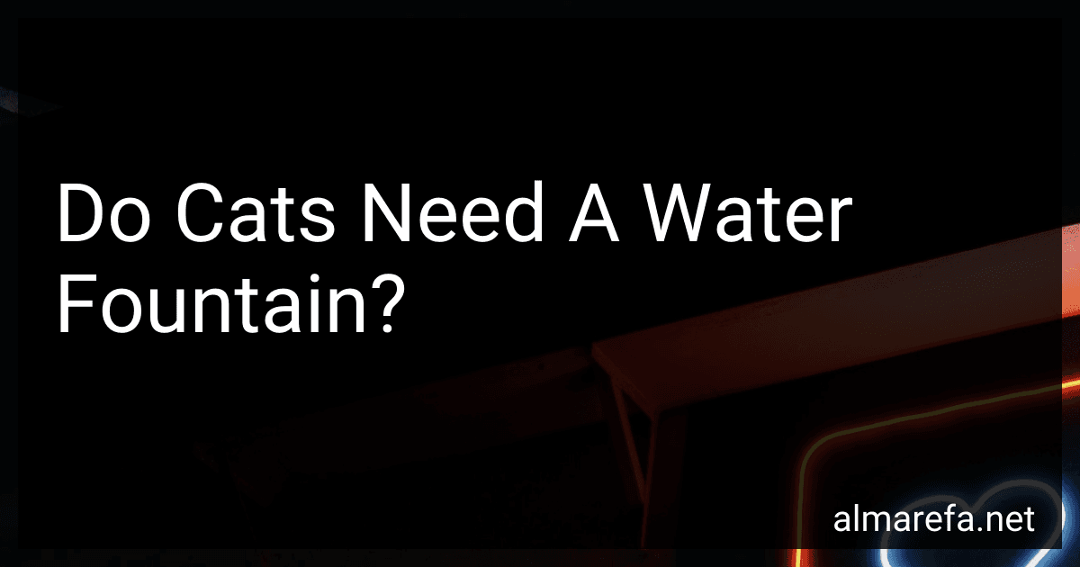 Do Cats Need A Water Fountain? image
