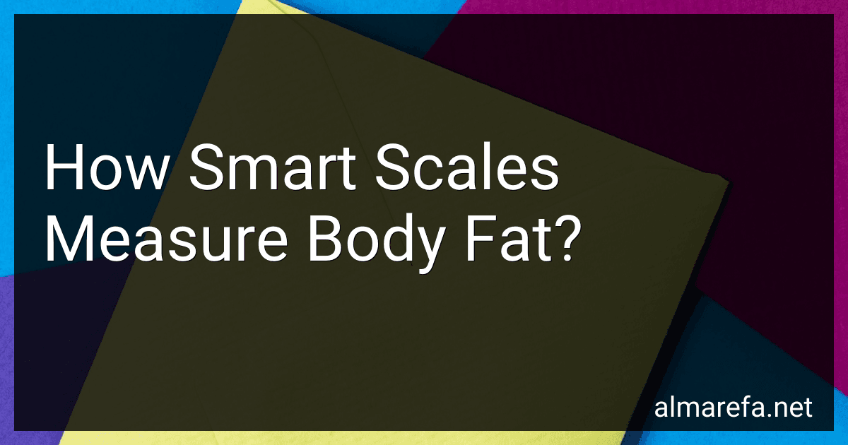 How Smart Scales Measure Body Fat? image