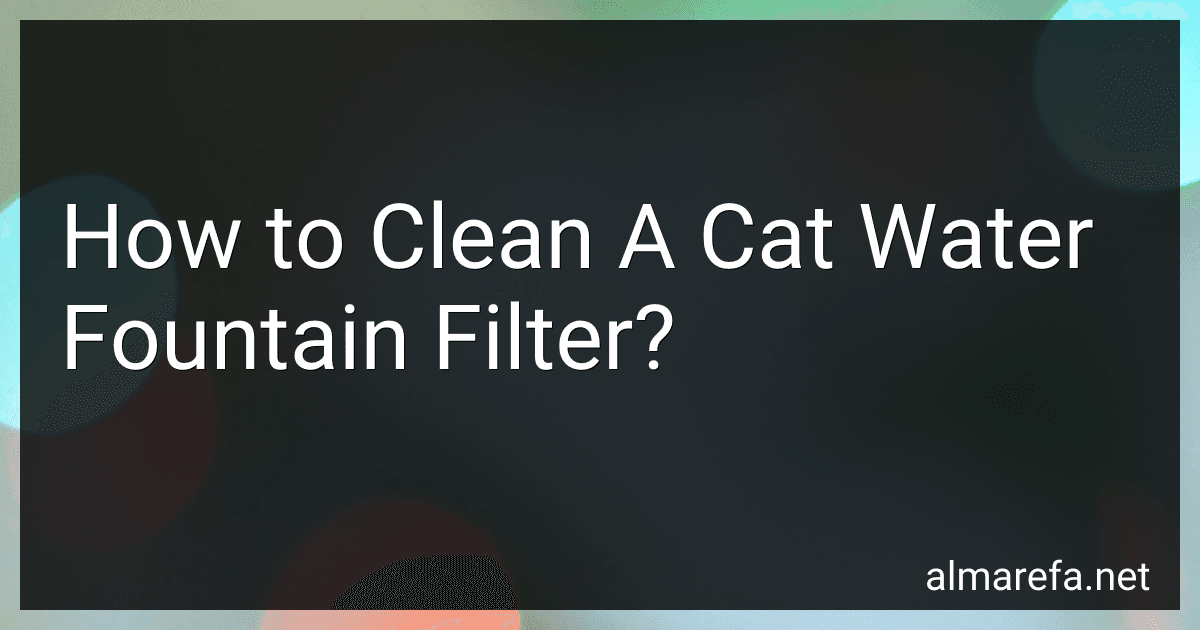 How to Clean A Cat Water Fountain Filter? image