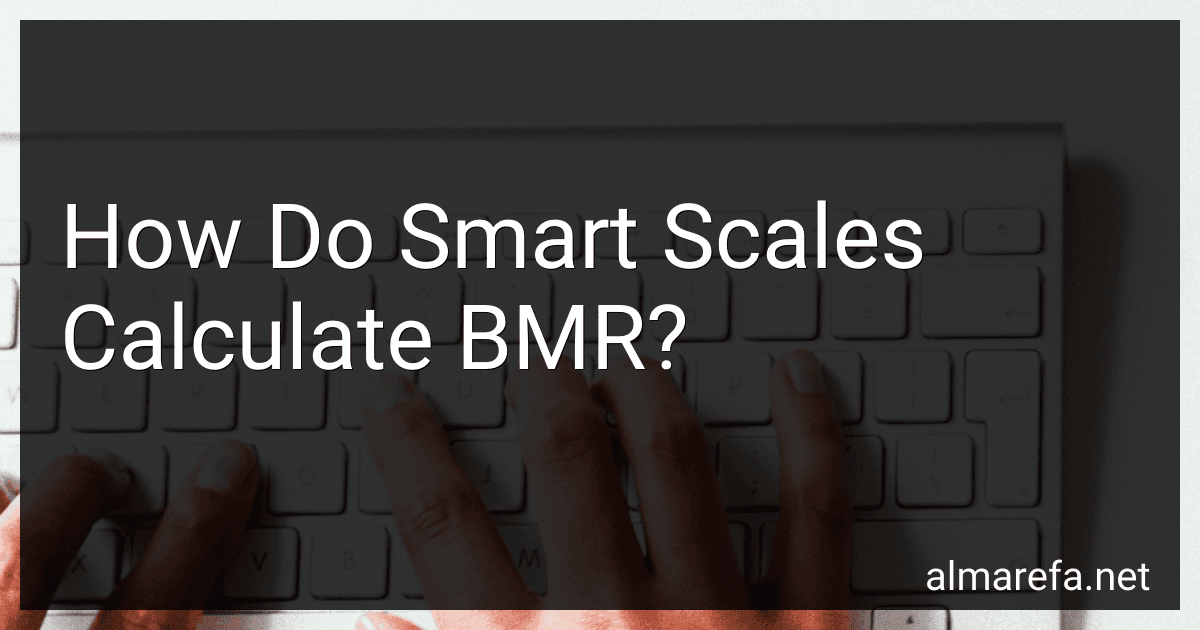 How Do Smart Scales Calculate BMR? image