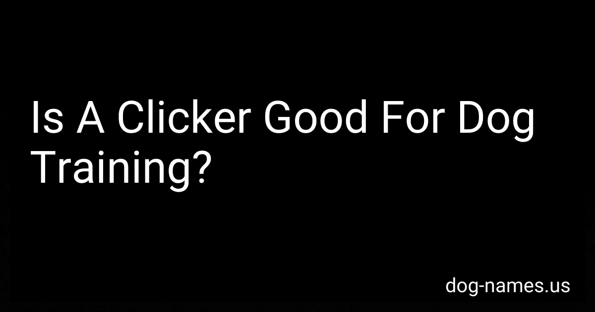 Is A Clicker Good For Dog Training? preview
