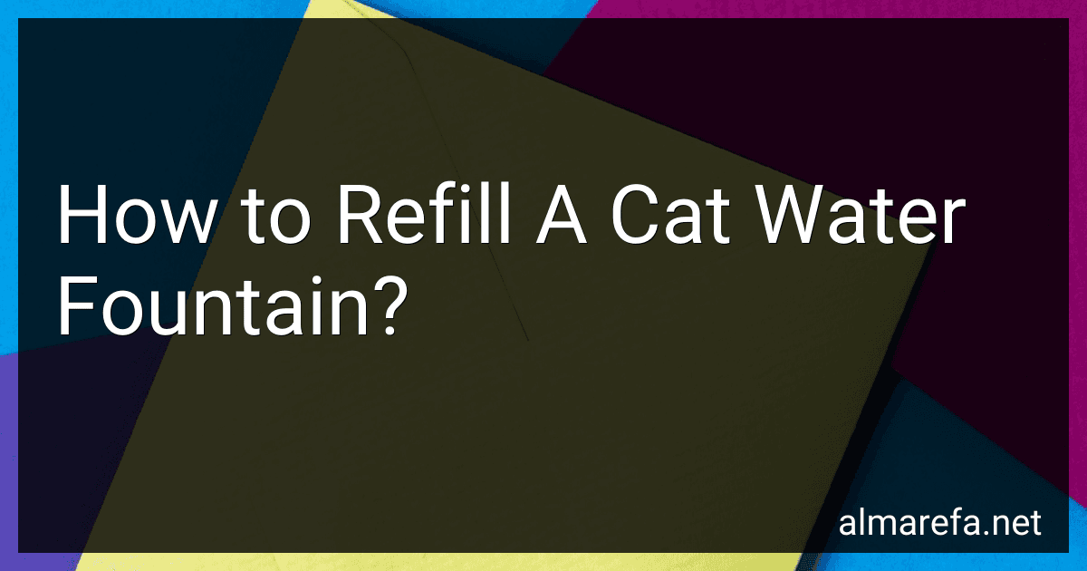 How to Refill A Cat Water Fountain? image