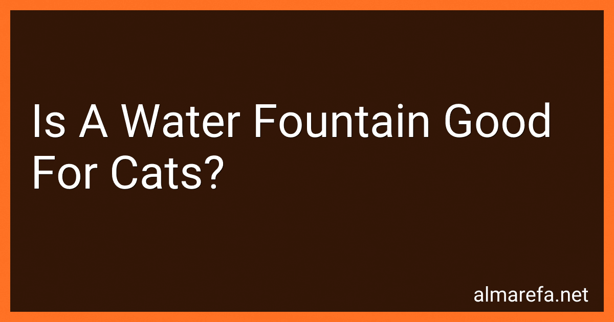 Is A Water Fountain Good For Cats? image