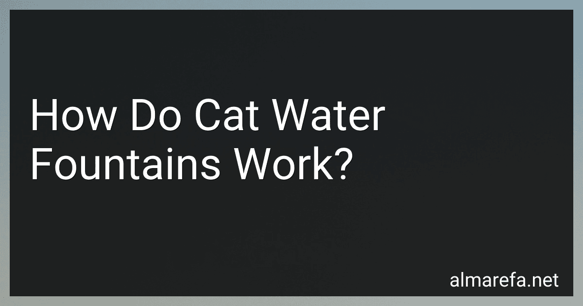 How Do Cat Water Fountains Work? image