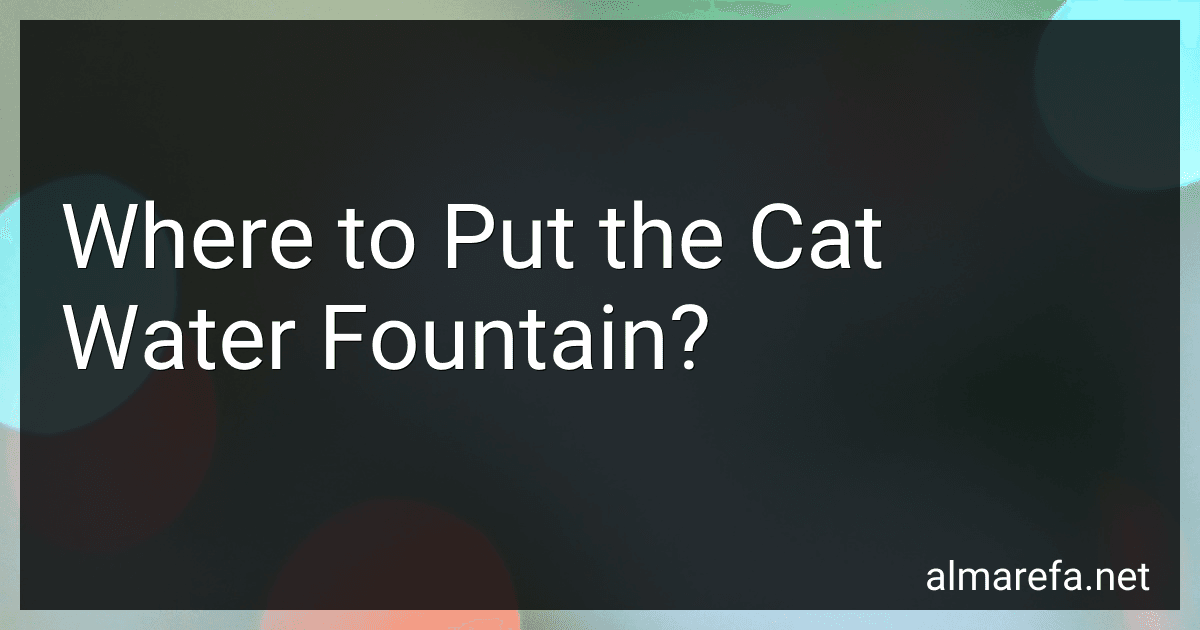 Where to Put the Cat Water Fountain? image