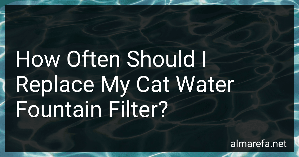 How Often Should I Replace My Cat Water Fountain Filter? image