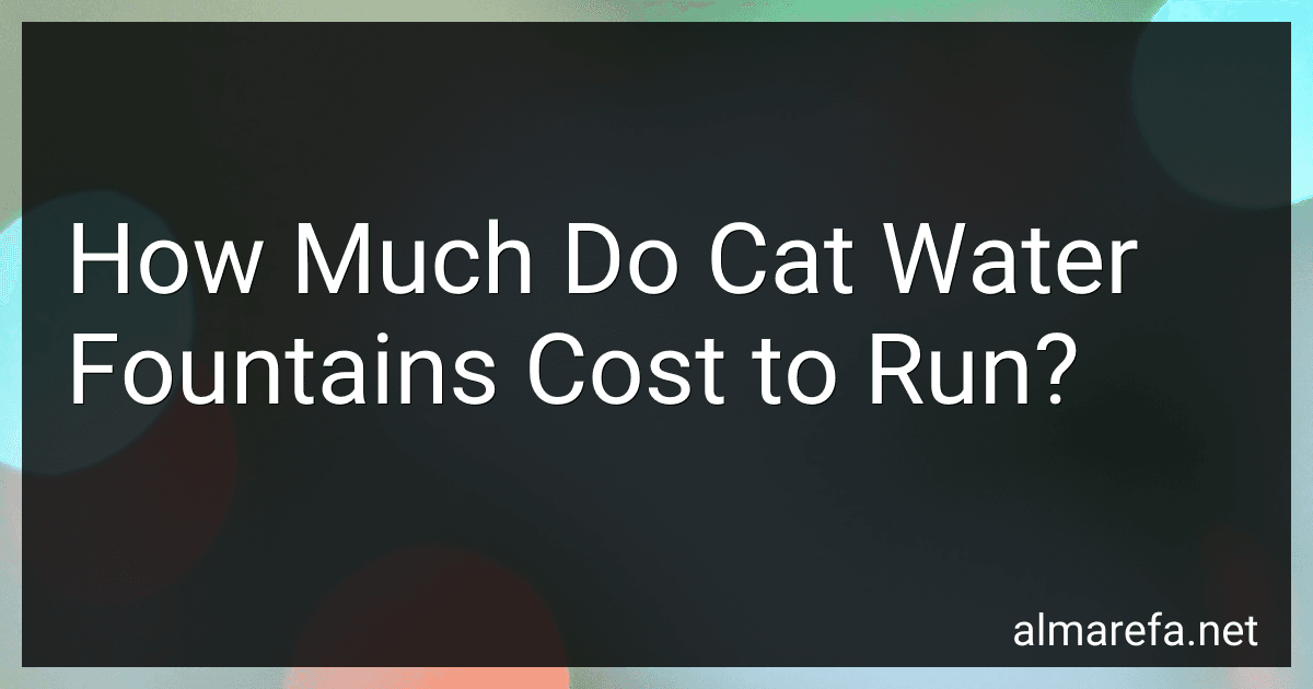 How Much Do Cat Water Fountains Cost to Run? image