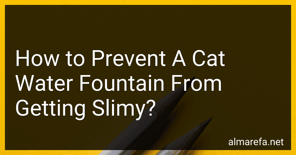 How to Prevent A Cat Water Fountain From Getting Slimy? preview