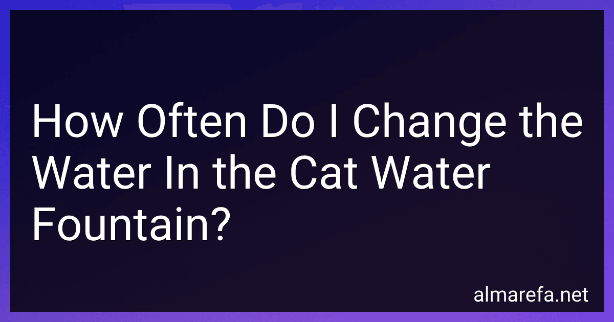 How Often Do I Change the Water In the Cat Water Fountain? image