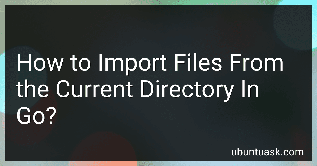 How to Import Files From the Current Directory In Go? image